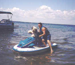 Spockbot.jpg (14582 bytes)