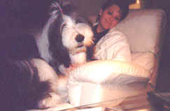 spockchr.JPG (9803 bytes)