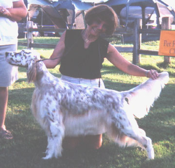 bagel_web_ofter_Minn_Sp.JPG (280x268 -- 33349 bytes)