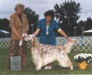 digitmin.jpg (27025 bytes)