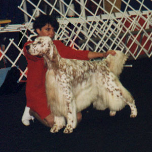 digkmesc.JPG (29608 bytes)