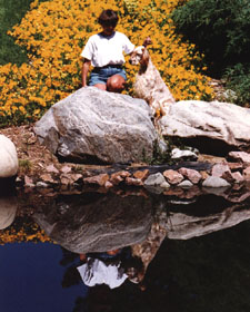 English Setter - CaRob Takin Care of Business