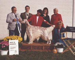 tazBWweb.JPG (17847 bytes)